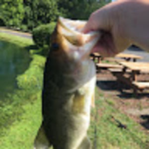 Meet your Posher, Jacob